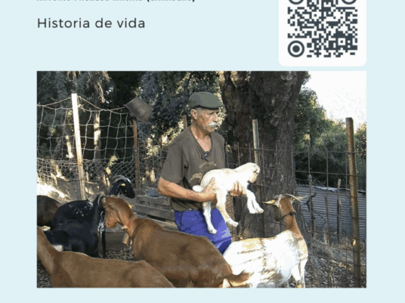 Una Vida en el BARRANCO: Antonio Pacheco Macías (ganadero). Envejecimiento exitoso